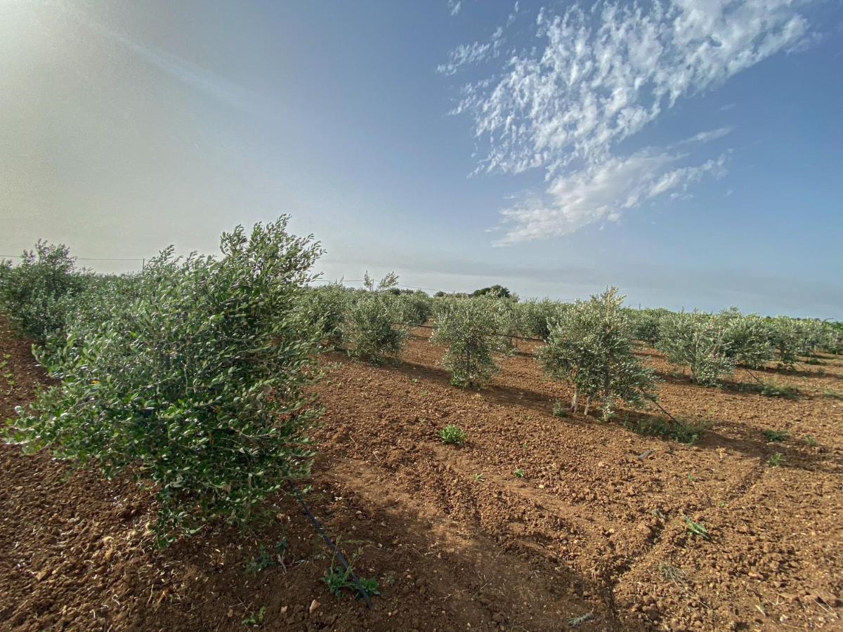 Podere Carafa Bauernhof *